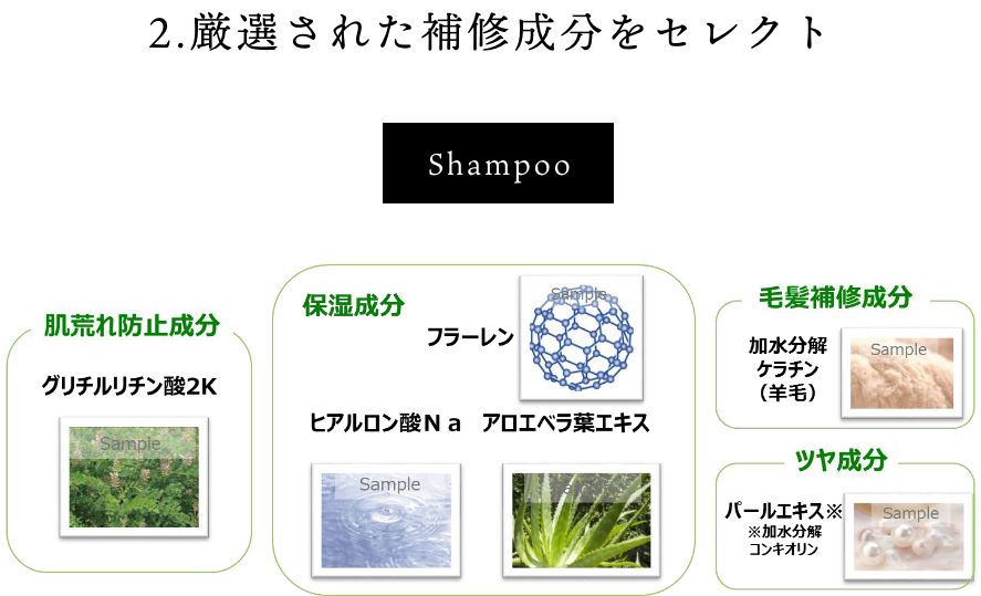 Shampoo　リニューアル